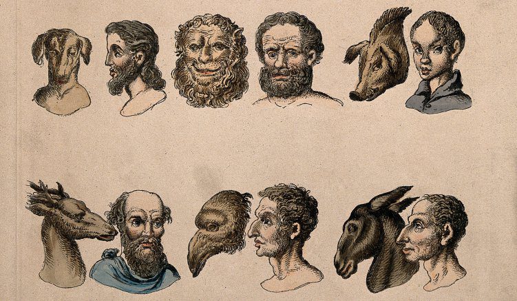 ￼Physiognomies
